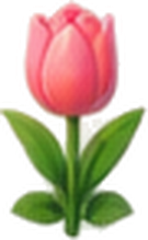 신선한 꽃